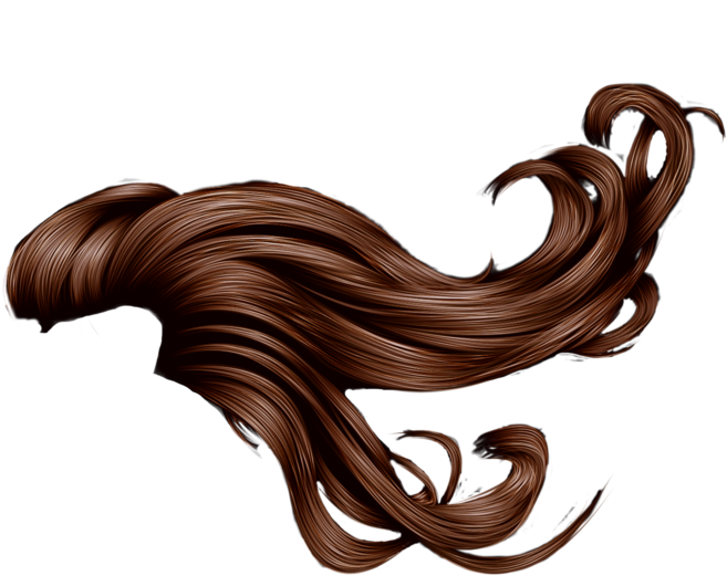 Mermaid Hair Png - Brown Hair In Wind (900x558), Png Download