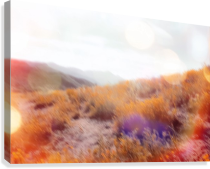 Yellow Flower Field On The Mountain With Summer Light - Canvas Print (429x344), Png Download