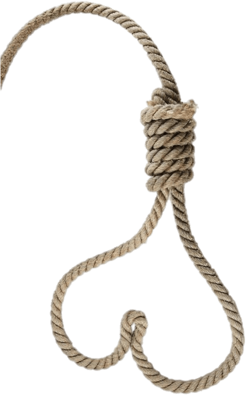 Miscellaneous - Heart Shaped Noose (618x836), Png Download