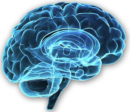 The Predicting Brain And Subliminal Messaging In Advertising - Cuidar Da Pessoa Com Esquizofrenia (419x361), Png Download
