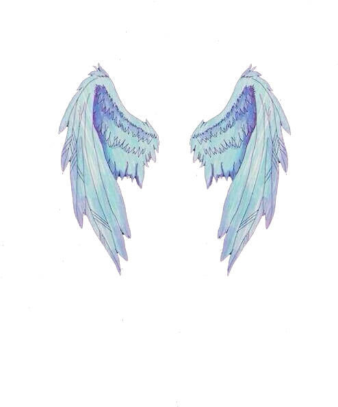 Fotos Com Asas No Instagram - Asas De Anjo Png (500x750), Png Download