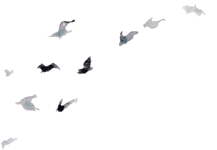 This Graphics Is Creative Bird Design Transparent Watercolor - Watercolor Painting (1024x1024), Png Download