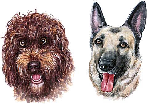 Puppy Transprent Png Free - Watercolor Painting (600x600), Png Download