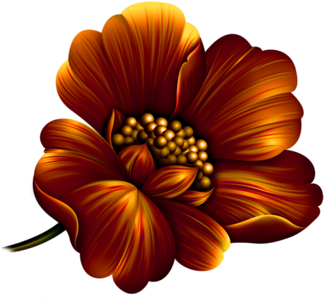 Garden Flames - Flower (500x454), Png Download