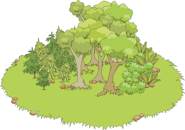 Forest Clipart - Forest Clip (747x527), Png Download