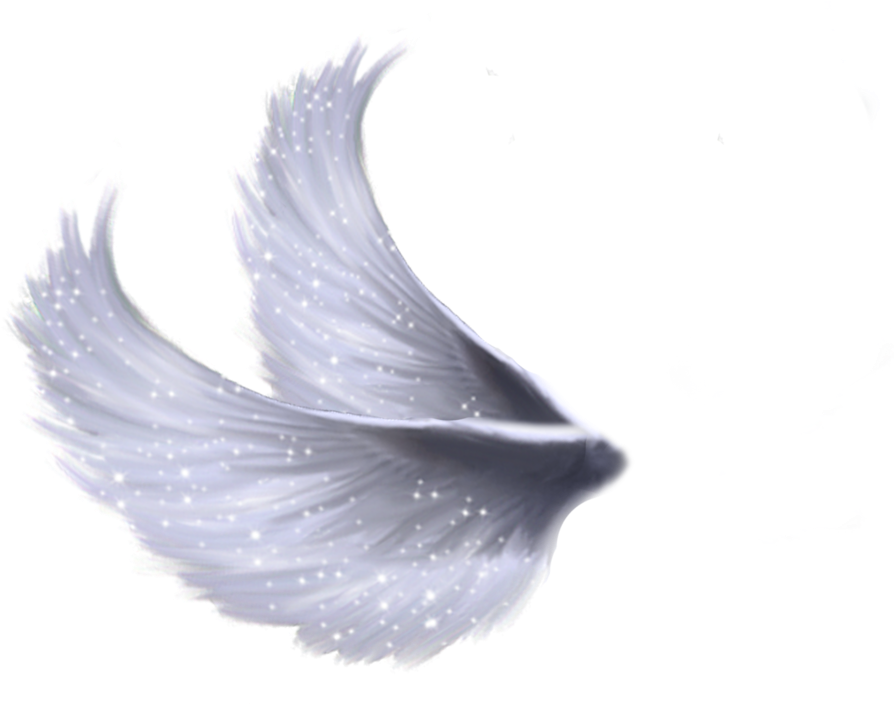 Wings Png 5 By Moonglowlilly - Fairy Wings Png Transparent (1024x746), Png Download