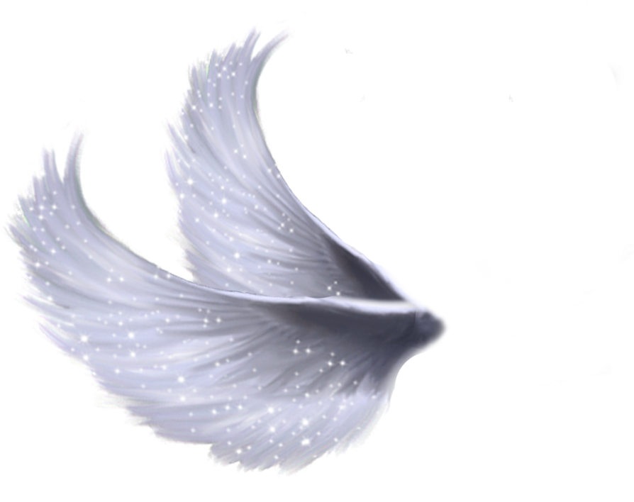Wings Png 5 By Moonglowlilly - Fairy Wings Png Transparent - Free ...