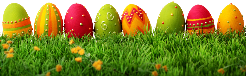 Easter Grass Eggs Png Image - Eggs Easter (1024x473), Png Download