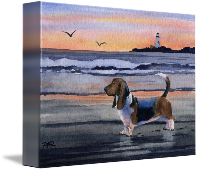 Basset Hound By David Rogers Watercolor Art - Watercolor Painting (650x558), Png Download