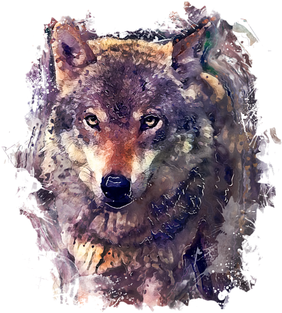 Click And Drag To Re-position The Image, If Desired - Wolf Watercolor Painting (524x700), Png Download