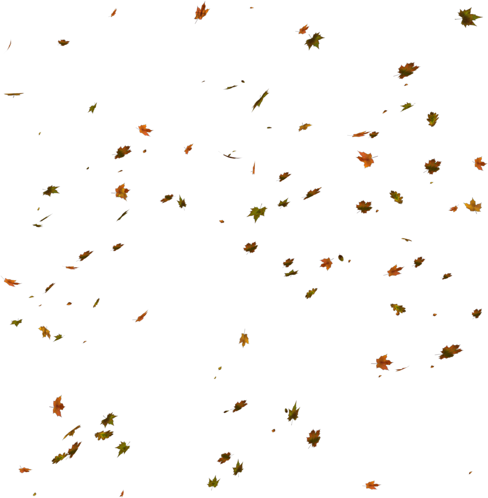 Unrestricted - Autumn Leaves Fall Png (889x899), Png Download