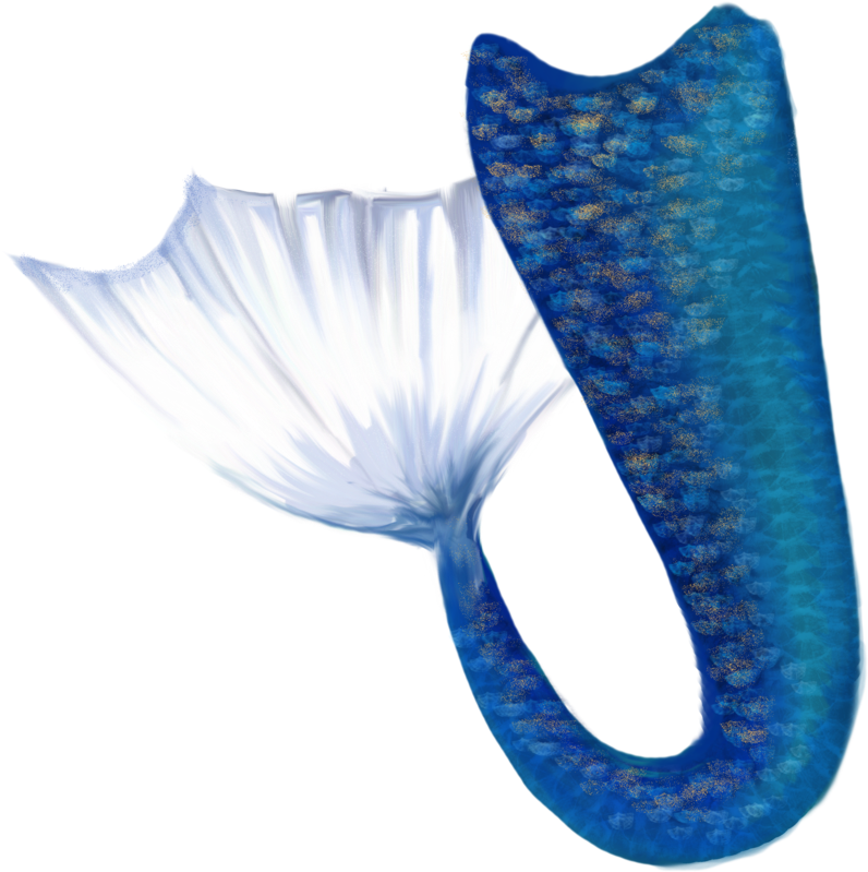 Mermaid Tail Png - Mermaid Tail (900x873), Png Download