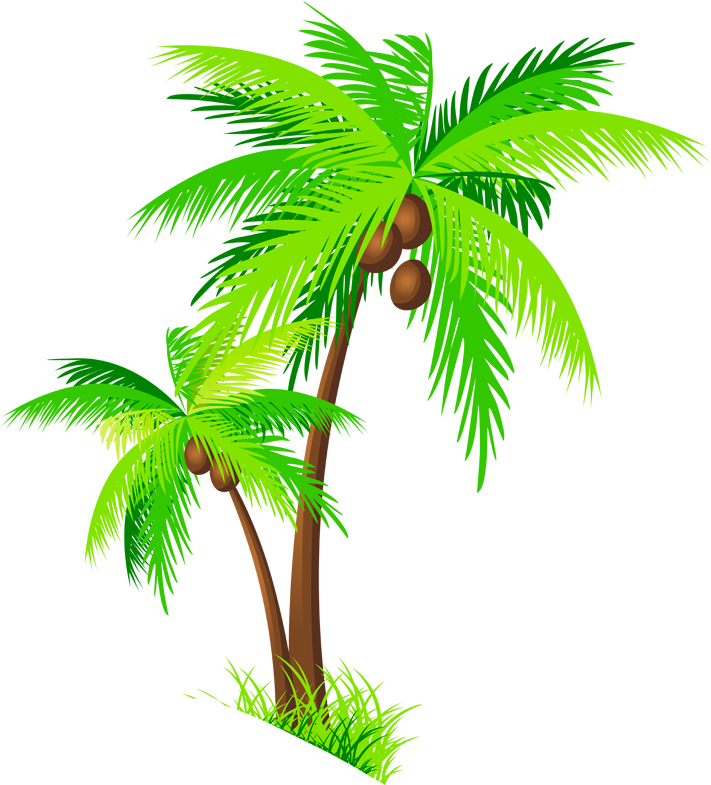 Coconut Tree Clipart Group - Coconut Trees Clipart Png (1280x800), Png Download
