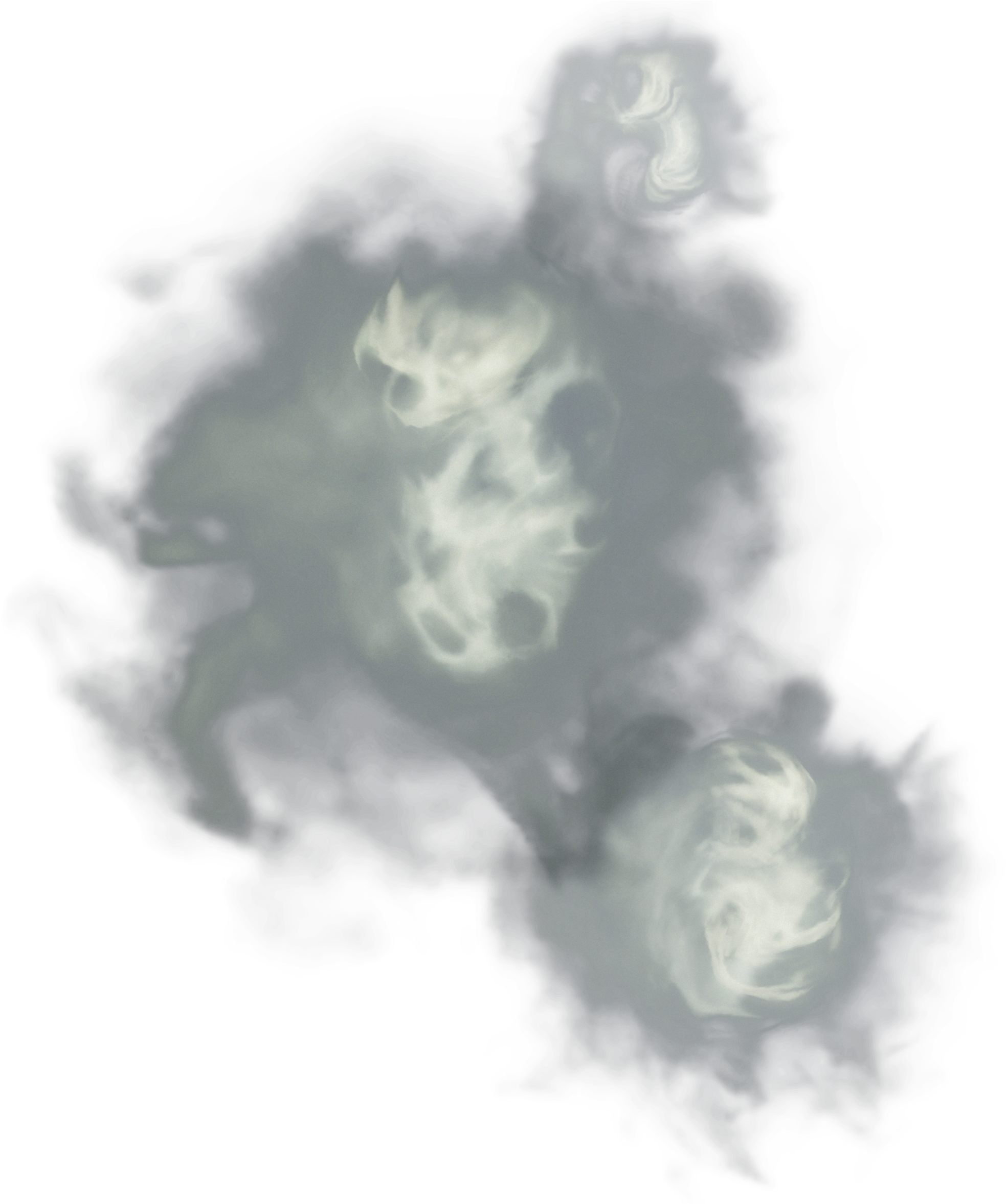 Dragons Dogma Ghost (2000x2353), Png Download