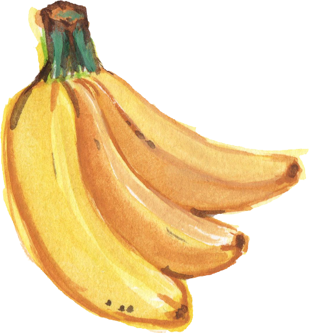 Clip Art Royalty Free Saba Banana Painting Transprent - Watercolor Banana (633x682), Png Download