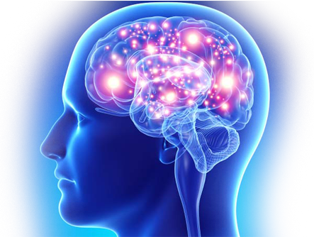 Harmonic Frequencies - Digital Consciousness: The Emotional Digital Frequency (443x334), Png Download