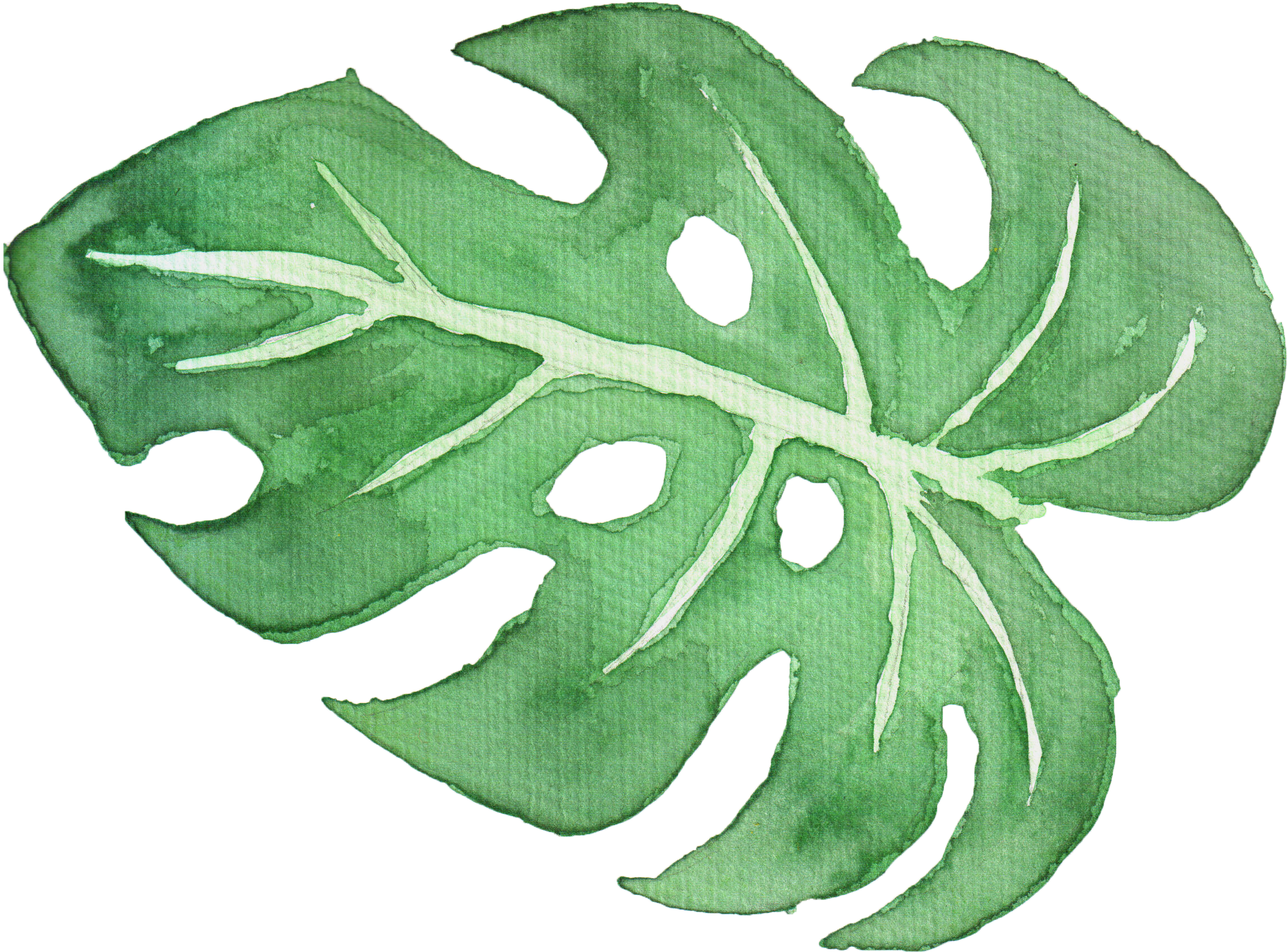 Tropical Leaf Watercolor Png - Watercolor Painting (3000x3000), Png Download