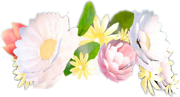 Report Abuse - Sacred Lotus (600x322), Png Download