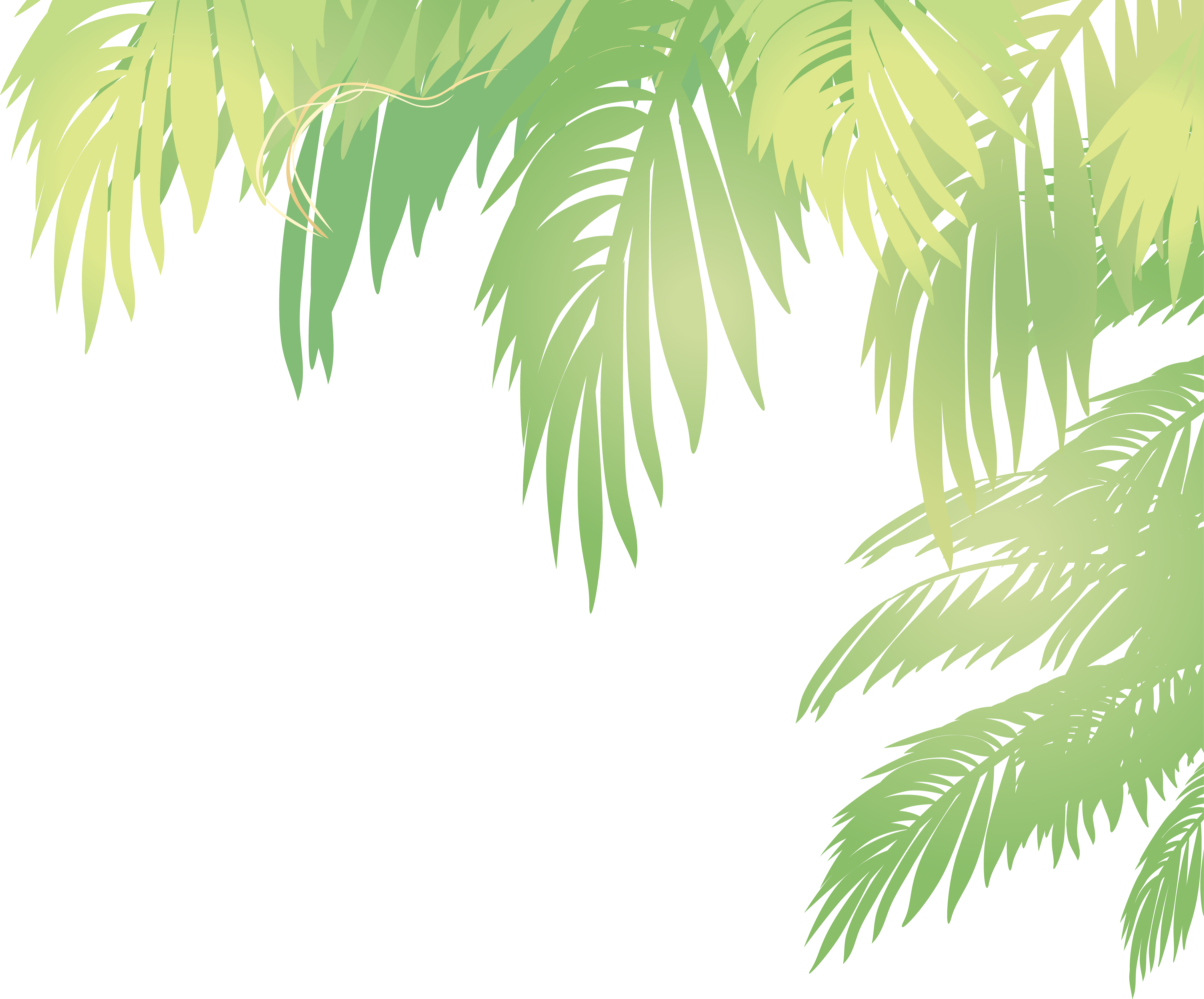 Arecaceae Leaf Euclidean Vector - Coconut Leaves Vector Png (3612x2995), Png Download