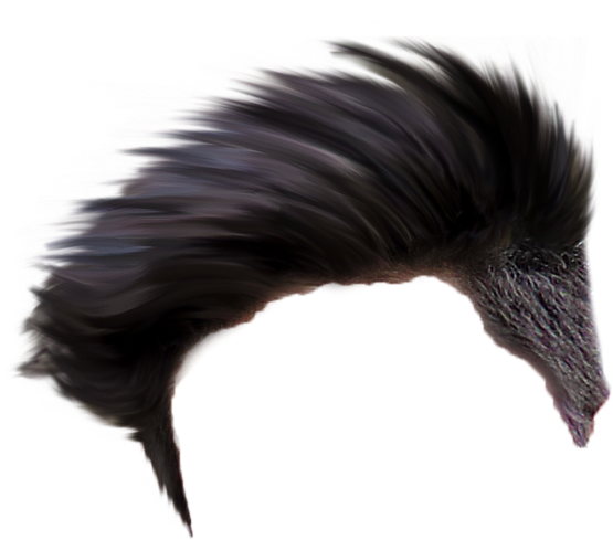 Hair Png - Neon King Png Hd (1024x1018), Png Download