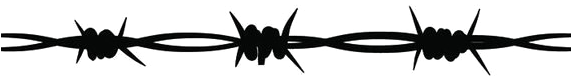 Barbed Wire Png Image - Barbed Wire (570x570), Png Download