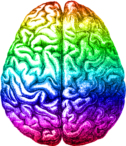 Rainbow Brain, Aug 2014 - Left Brain Right Brain Black And White (420x480), Png Download