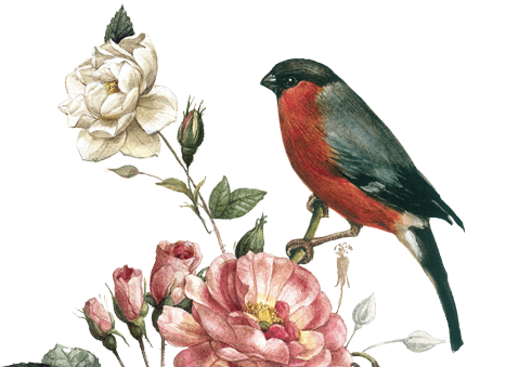 Half Leather Boundsketchbook - Budapest (640x350), Png Download