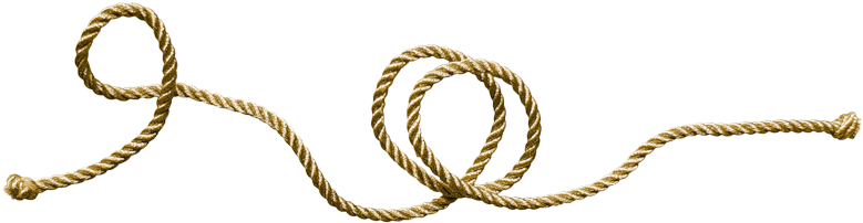 Cowboy Rope Png - Rope Png (800x243), Png Download