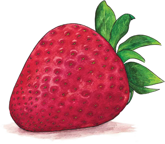 Svg Transparent Richard Lewis Experience Designer Responsive - Strawberry (700x700), Png Download