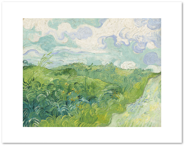 Green Wheat Fields, Auvers By Vincent Van Gogh Archival - Vincent Van Gogh Green Wheat Fields Auvers (875x787), Png Download