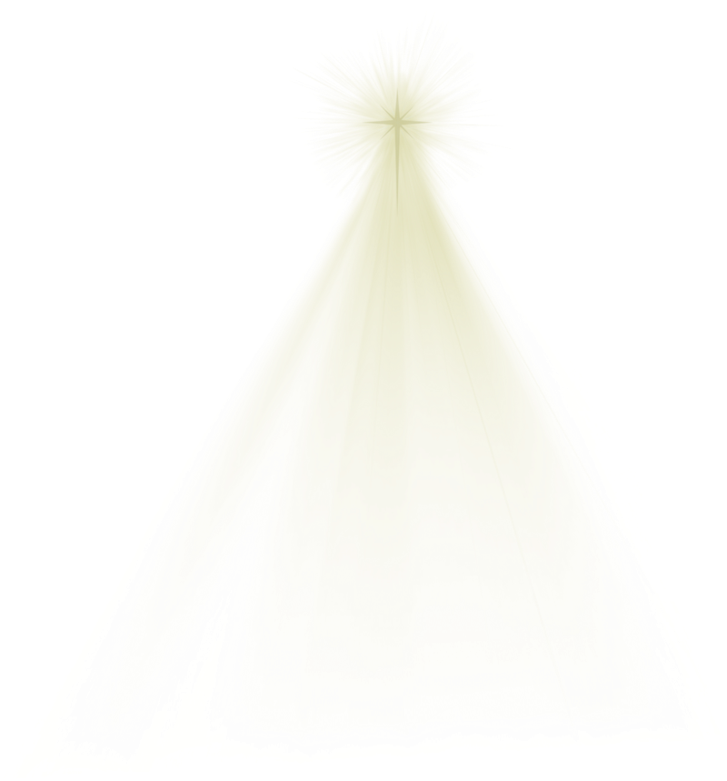 Christmas Star Transparent Png Pictures - Christmas Tree (900x988), Png Download