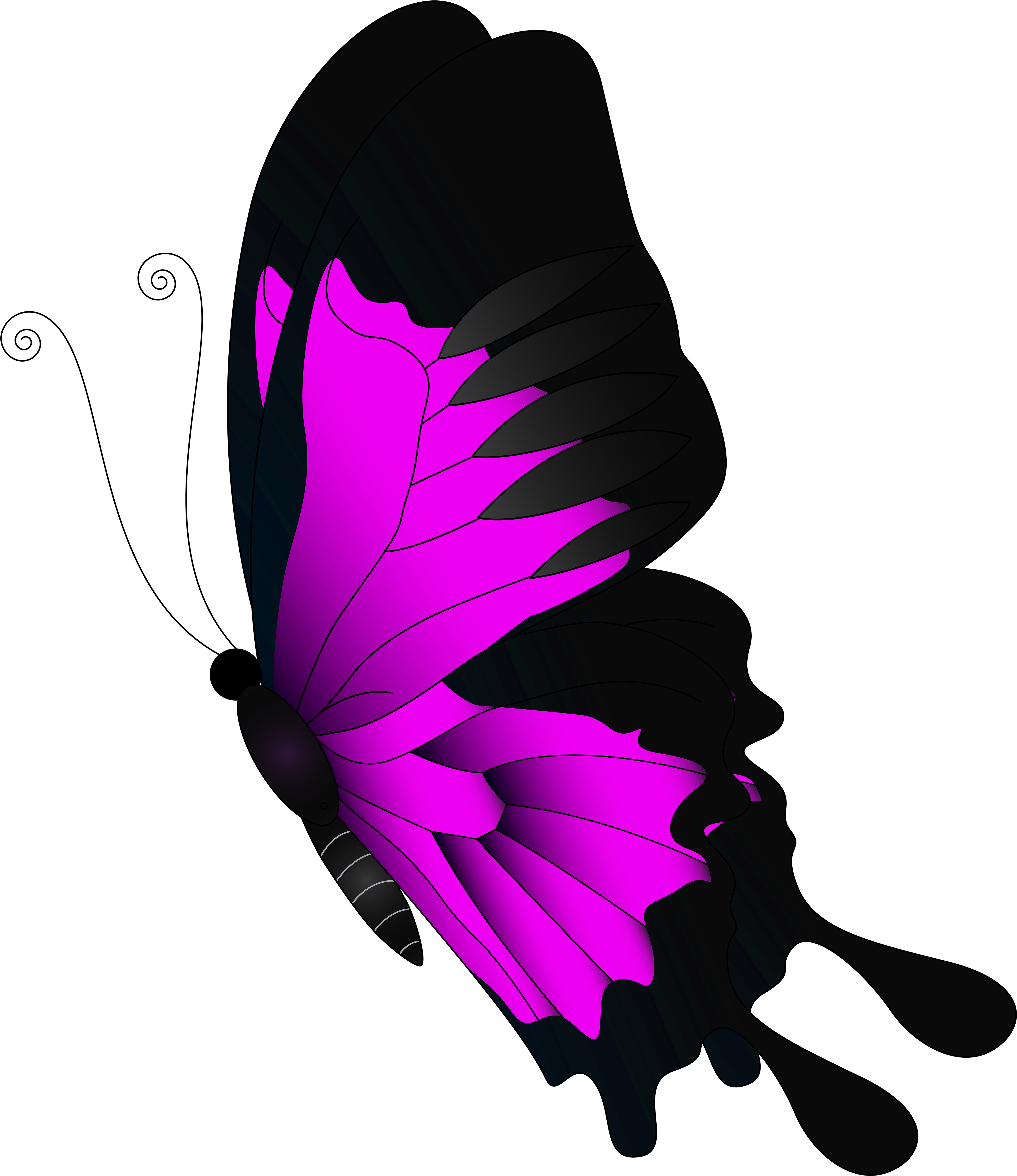 Pink Flying Butterfly Png Clip Art - Flying Butterfly Clipart Png (4323x5000), Png Download