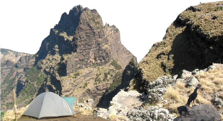 Transparent Background Mountain Png (780x440), Png Download