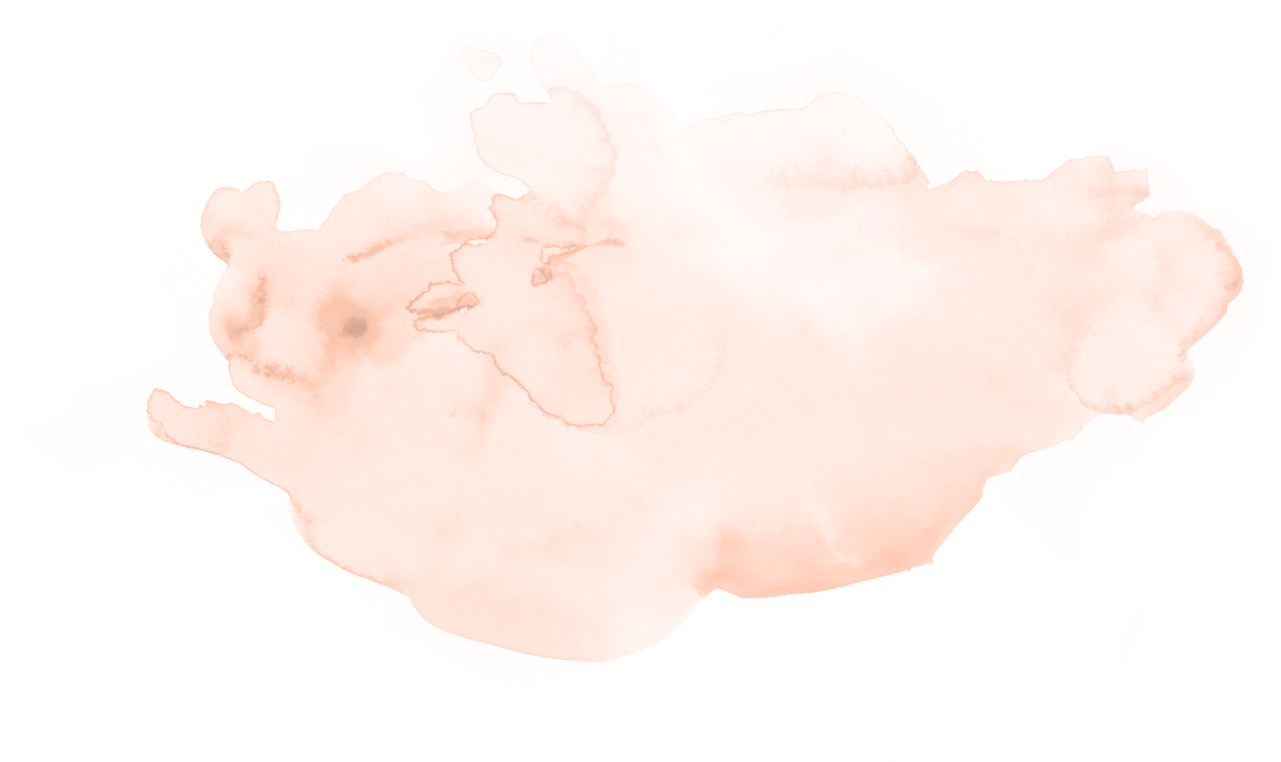 Human Body Louse (2751x1756), Png Download