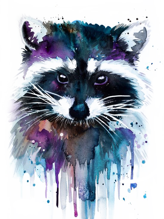 Vector Black And White Stock Watercolor Painting Artist - Raccoon Watercolor (550x733), Png Download