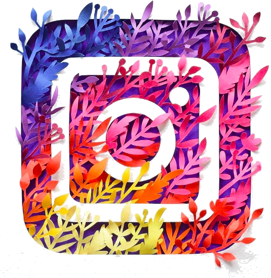 Instagram Logo Creative Plants Png Transparent Background - Transparent Background Instagram Logo (540x563), Png Download