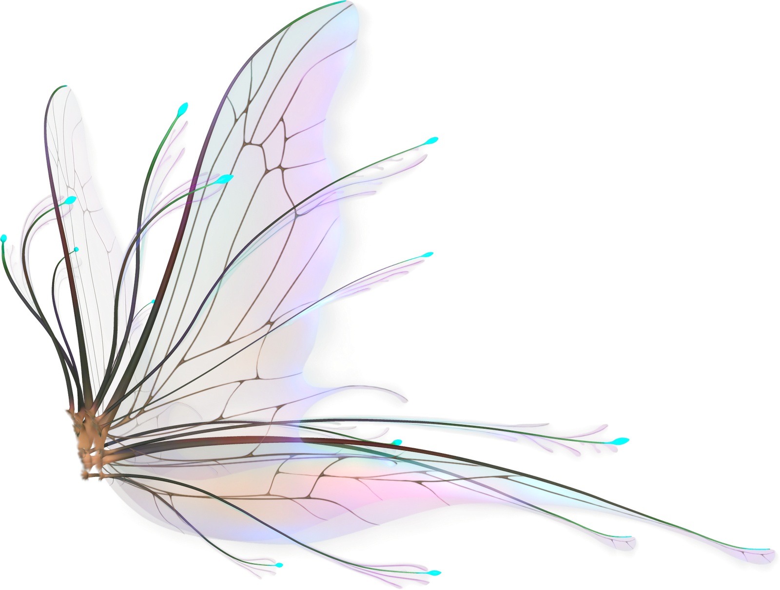 Fairy Wings Png - Realistic Fairy Wings Png (1600x1211), Png Download