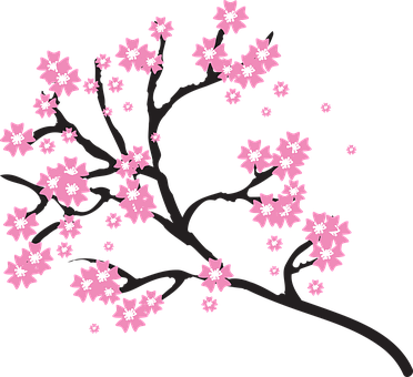 Blossoms Branch Cherry Floral Flowers Natu - Transparent Background Cherry Blossom Clipart (372x340), Png Download