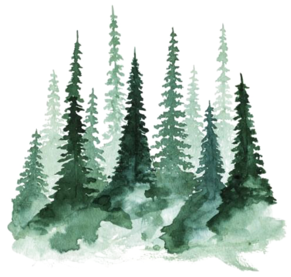 Ftestickers Watercolor Trees Pinetrees Forest - Watercolor Trees (1024x1046), Png Download