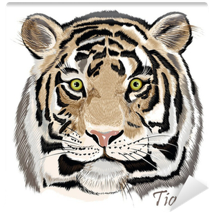 Beautiful Vector Background With Hand Drawn Watercolor - Loom And Mill Animal Heads Tiger Throw Pillow Colour: (400x400), Png Download