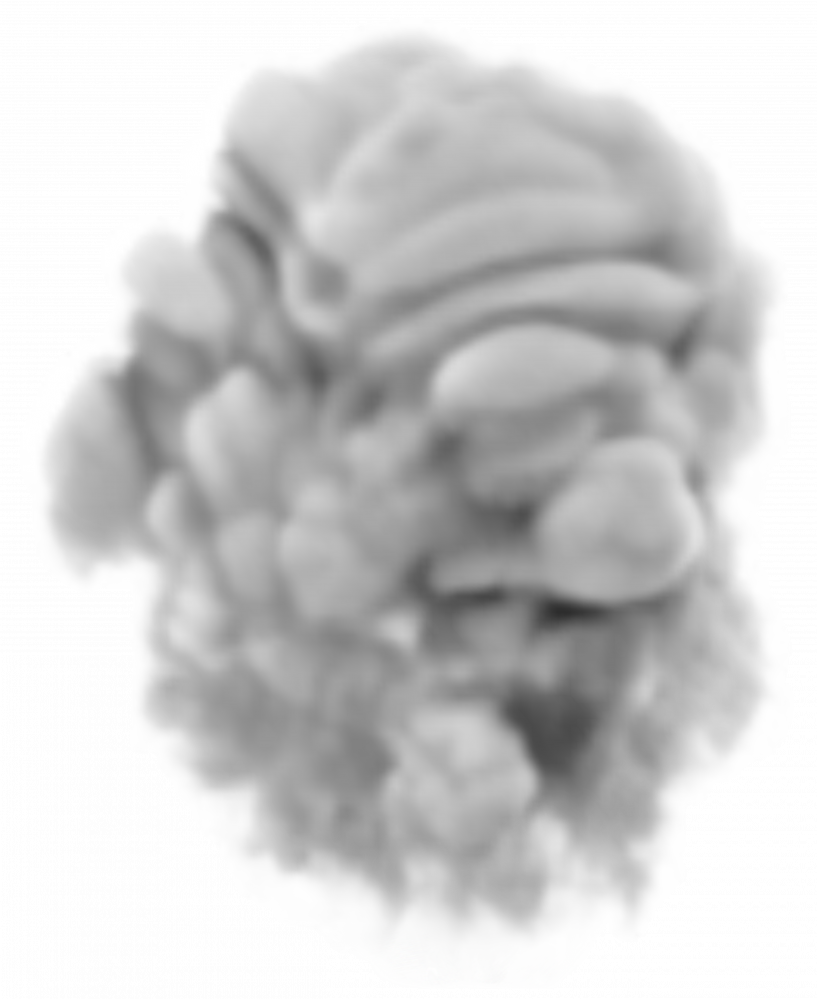 Smoke Clipart Png (817x999), Png Download