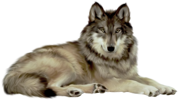 Wolf Png File - Wwseven Animal Crystal Diamond Painting Diy Resin Diamond (584x347), Png Download