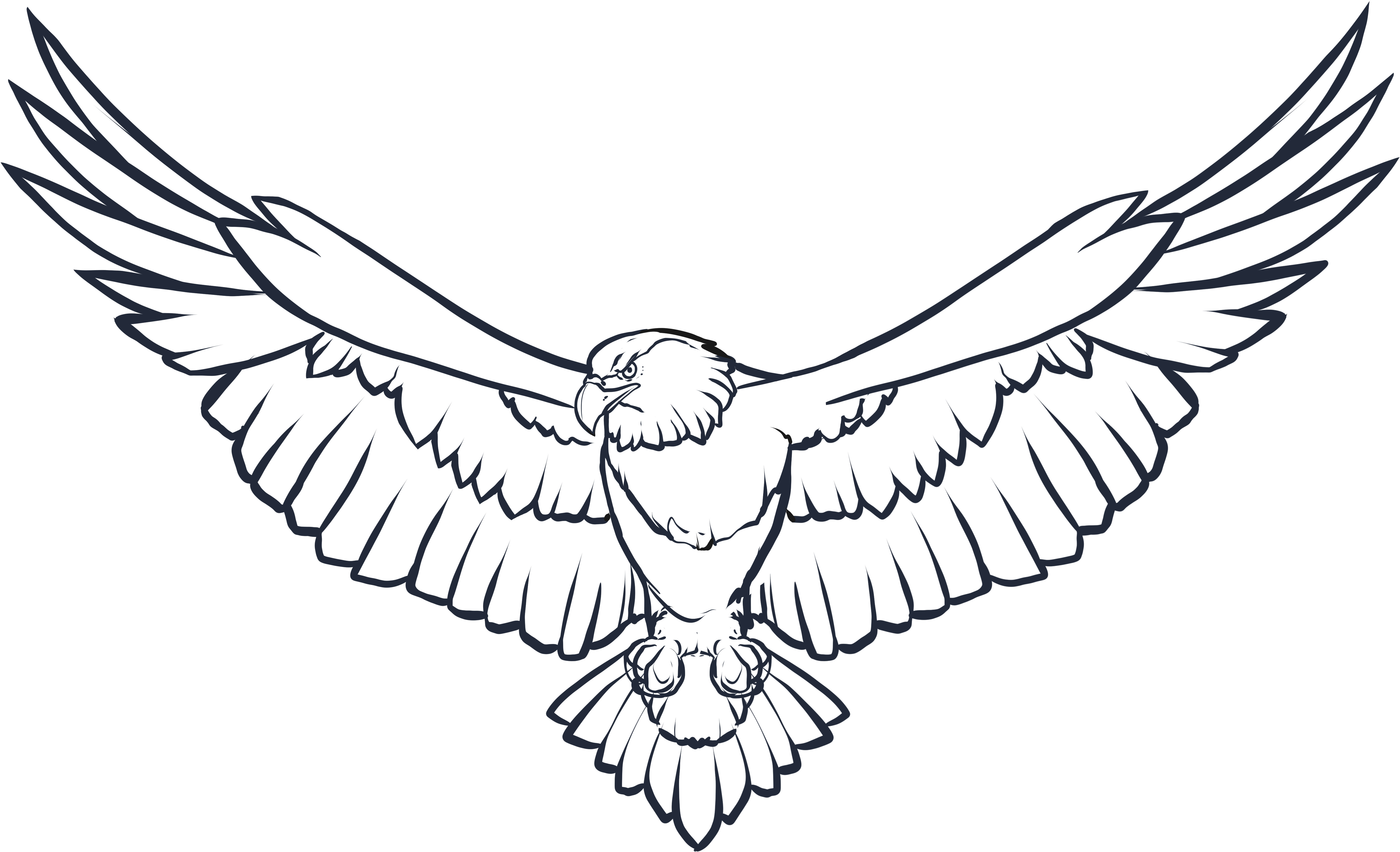 Eagle Wings Png Photo - Eagle Black And White (1024x642), Png Download