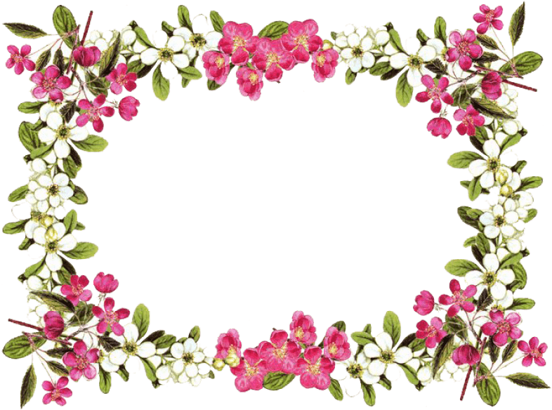 Flower Border Png (850x607), Png Download
