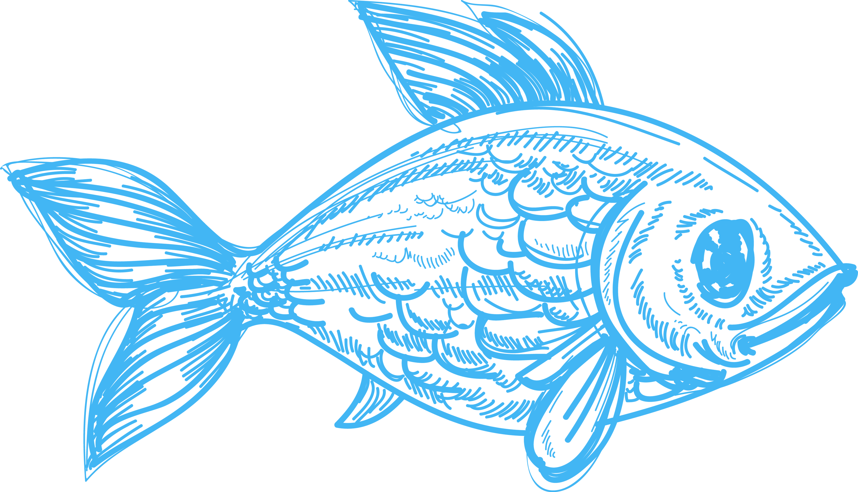 Drawing Deep Sea Creature Pencil Sketch Fish - Pencil Drawings Of Sea Creatures (3000x1723), Png Download