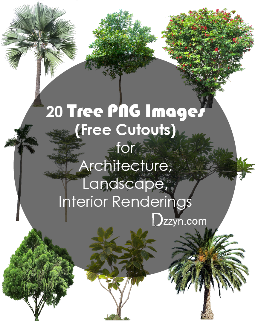 02- 20 Tree Png Images For Architecture, Landscape, - Tree Landscape Architecture (876x1125), Png Download