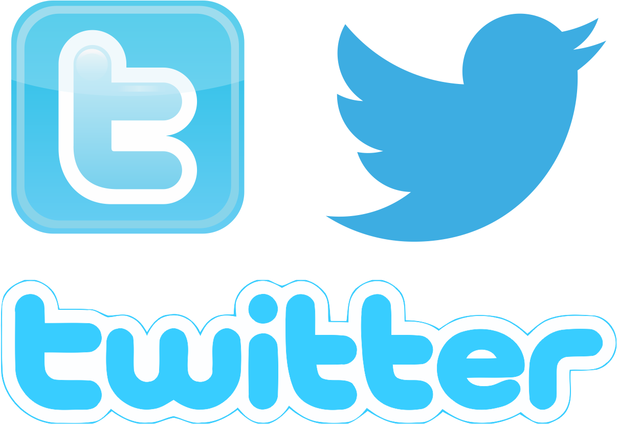 Twitter Bird, Twitter Button, Bird Png Logo - Twitter (1269x900), Png Download