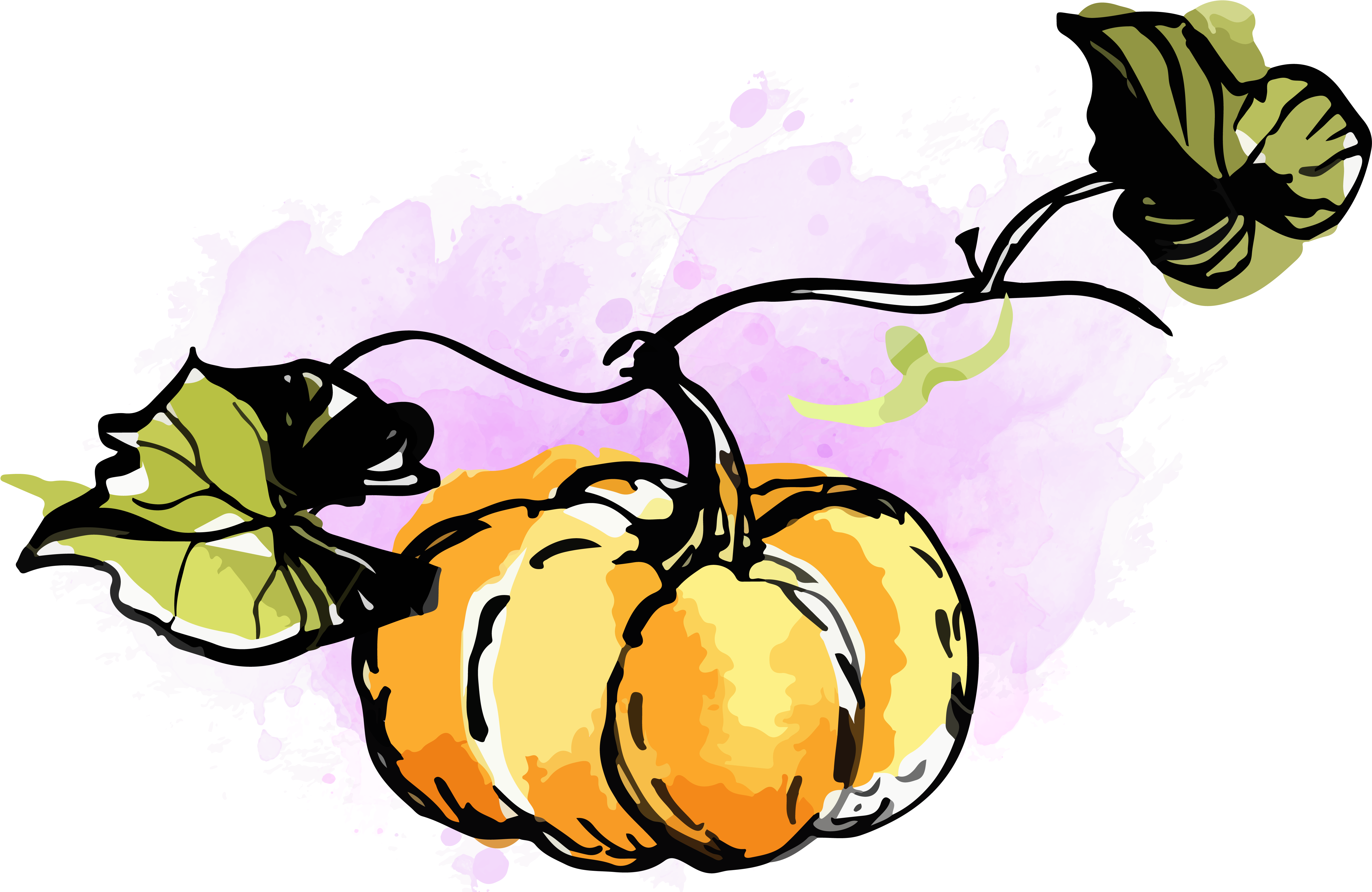 Watercolor Pumpkin Clipart - Watercolour Pumpkin Clip Art (6667x3750), Png Download