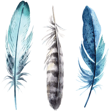 Bleed Area May Not Be Visible - Watercolor Feathers (600x477), Png Download