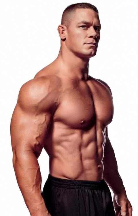 John Cena Transparent Image - John Cena Body Shape (479x750), Png Download